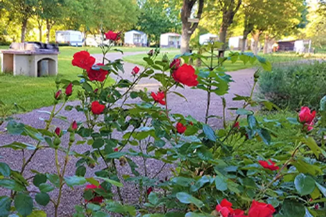 Camping des Îles