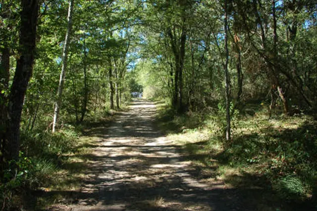 Le Domaine du Chaudeau