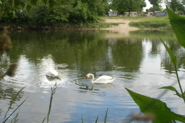 Camping de l'Oiselon