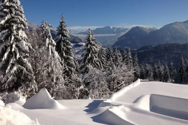 Club Soleil Mont Blanc