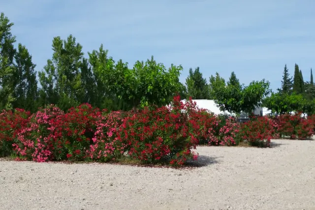 Aire de la Grappe