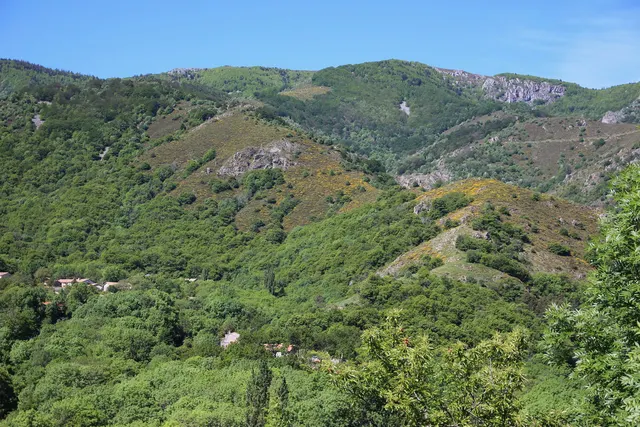 Auprès de mon arbre
