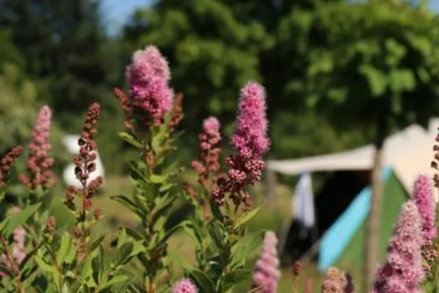 Camping le Paroy