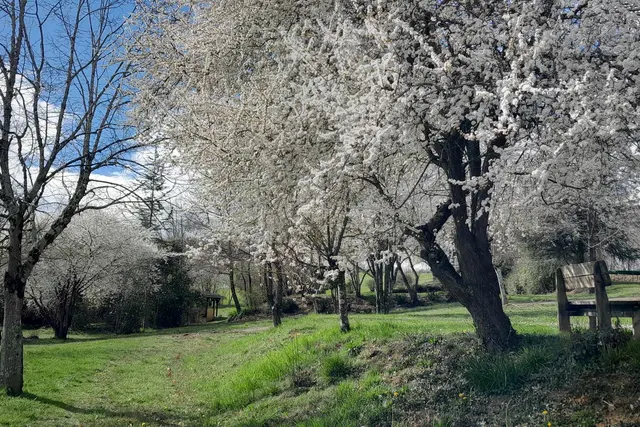 Domaine de Calabel