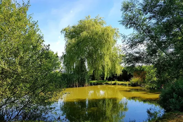 L'Eden Avesnois