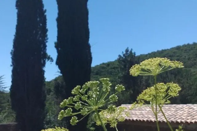 Le Jardin de Gretuvs