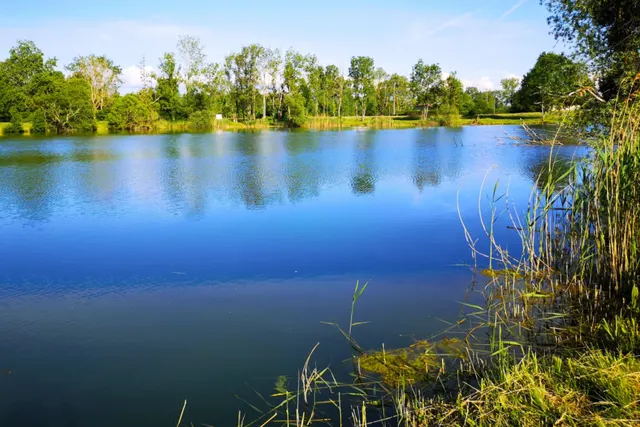 Etat Nature