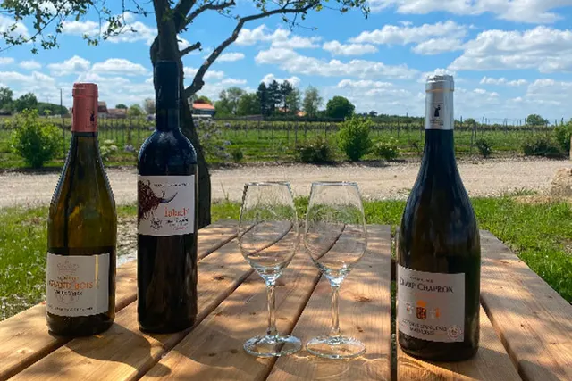 Vignoble du Champ Chapron
