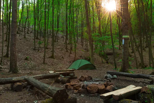 Trekking Pfalz: Imsbach