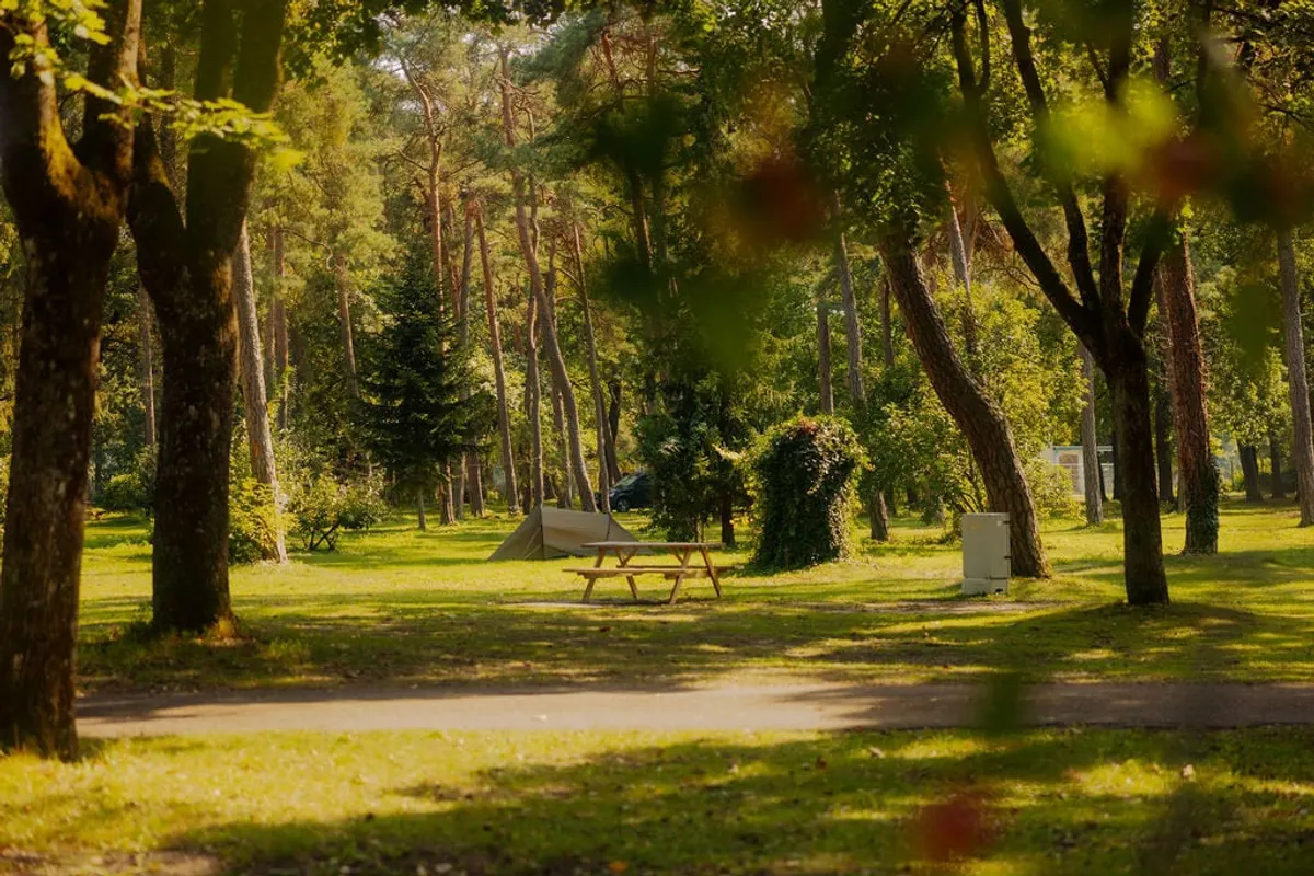 AZUR Camping Am Auwaldsee