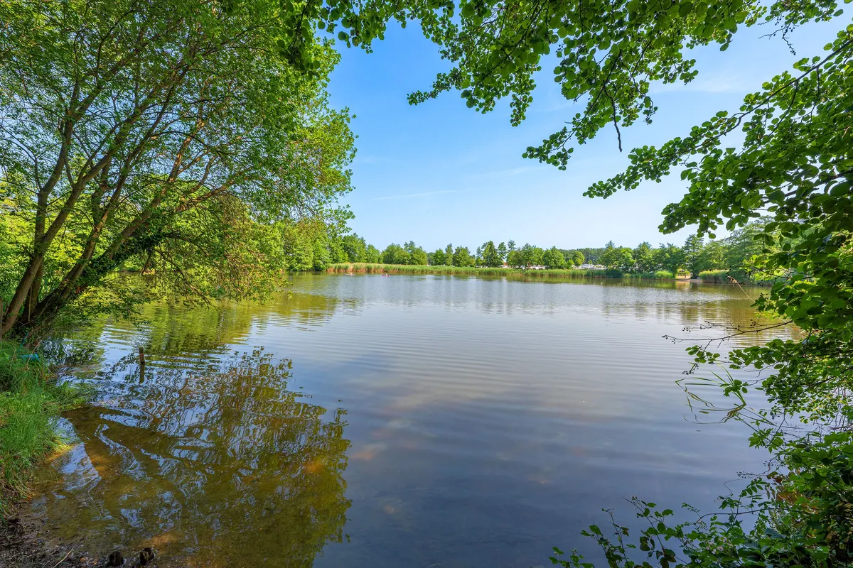 Seewiesen Homfeld