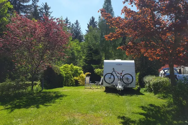 Waldcamping Erzgebirge