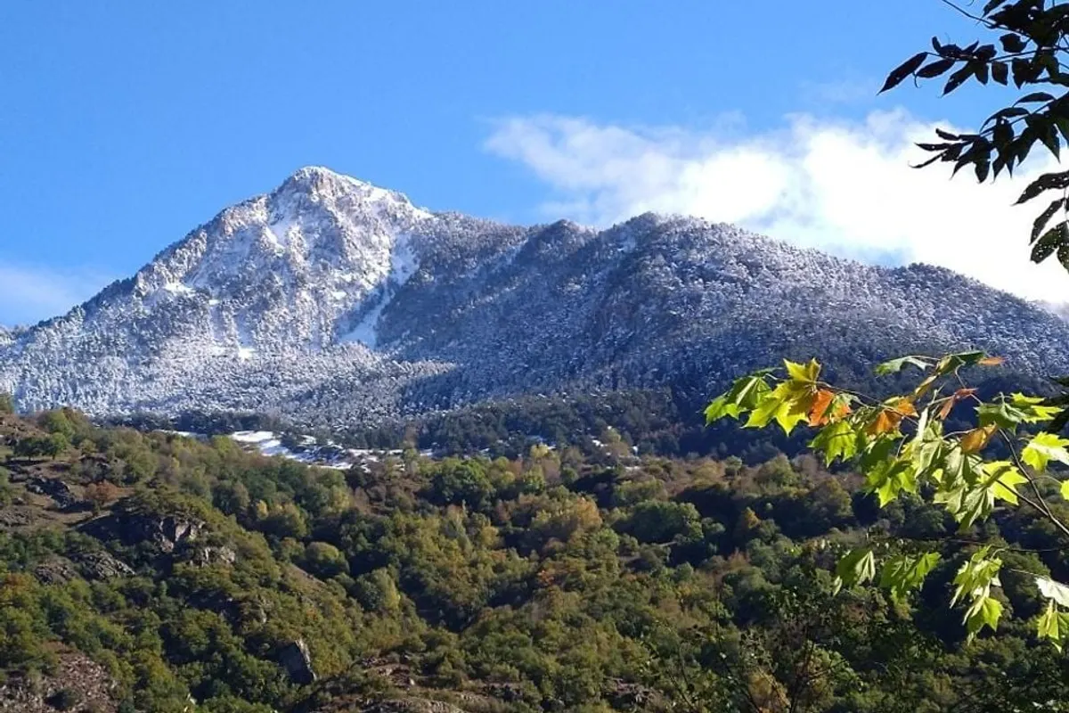 Bedura Park, camping temático de la naturaleza y bungalows