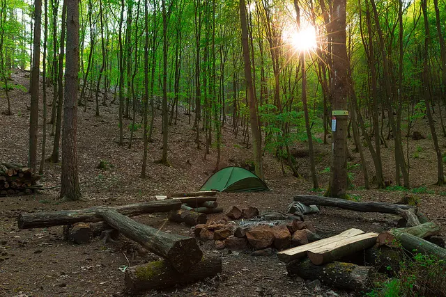 Trekking Pfalz: Frankelbach