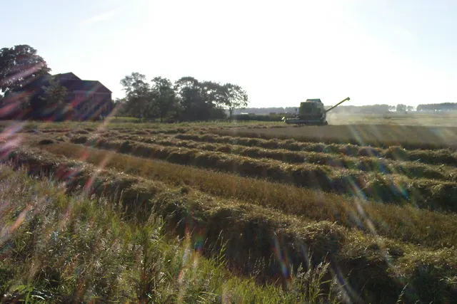 A-Hoeve