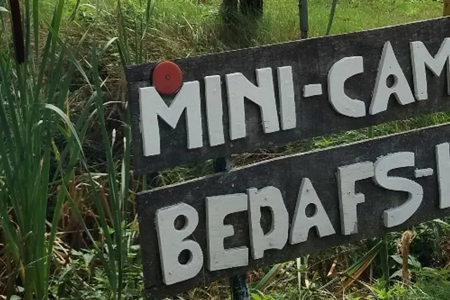 mini camping "Bedafs Hofke"