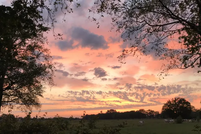 Natuurkampeerterrein De Marsbelte