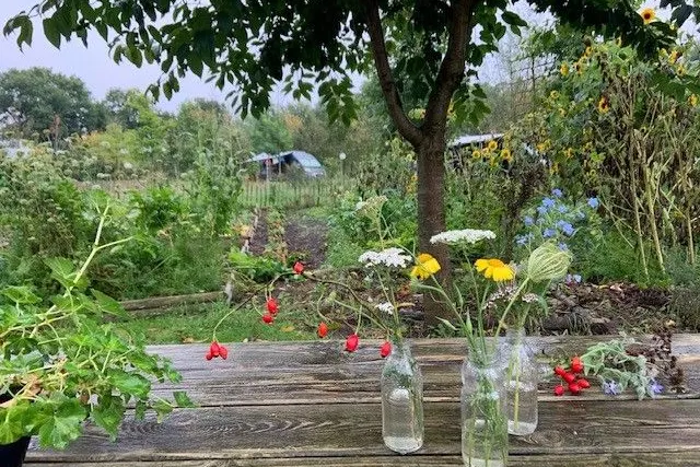 Natuurkampeerterrein Buitenhof