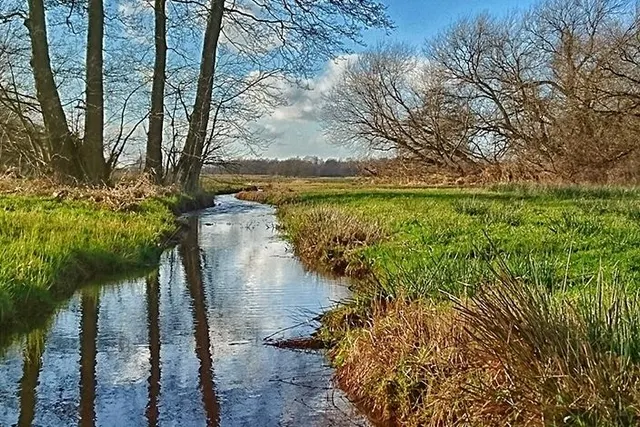 Camerplaats Spoordok
