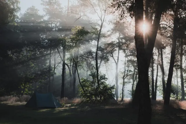 De Bruidssuite (Natuurcamping Quadenoord groepsterrein)
