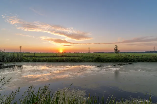 Berkenwoude