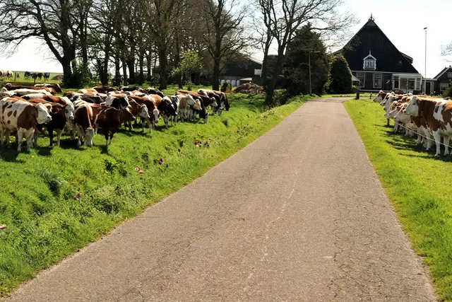 Camping en Kampeerboerderij Groen