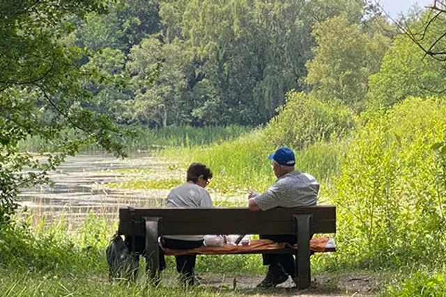 Camping Rondeweibos