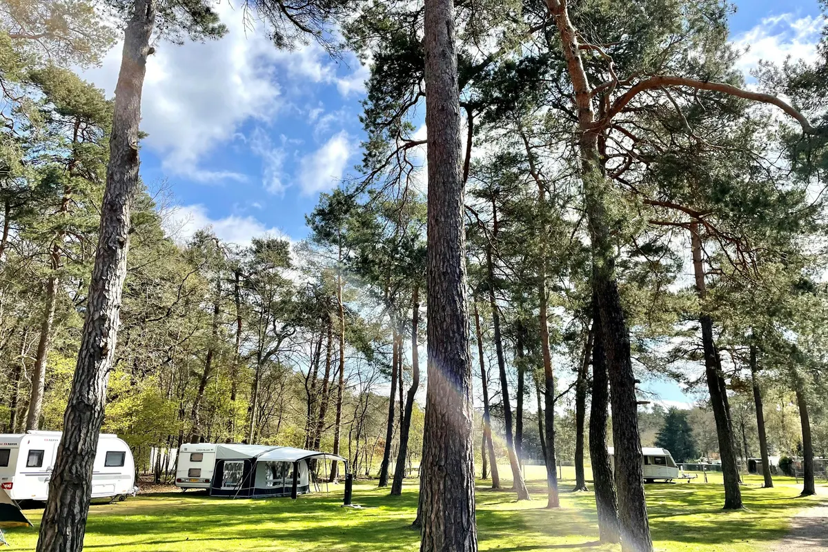 Vakantiecentrum De Hertenhorst