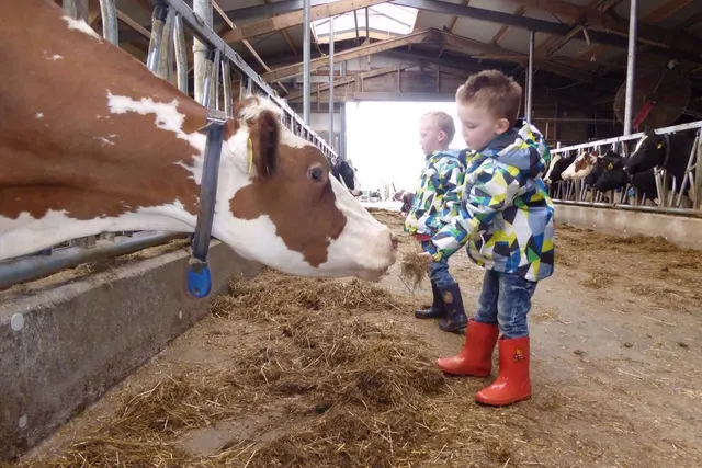 Kampeerboerderij De Branding