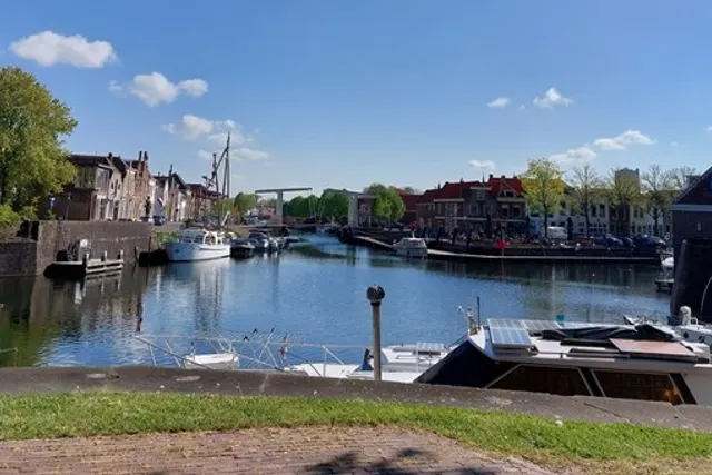 De Lepelaar