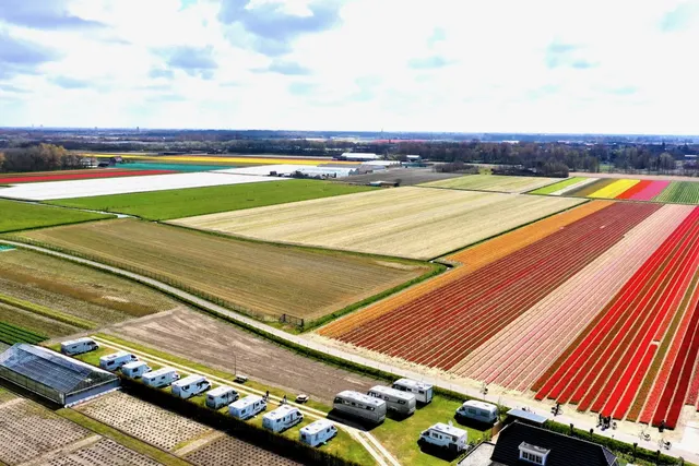 Camperplaats De Guldenroede