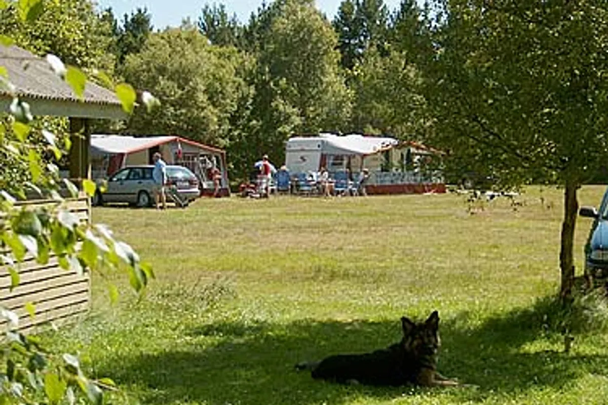 Dcu-camping Ålbæk Strand
