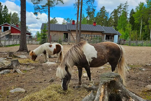 Ähtäri Zoo Camping