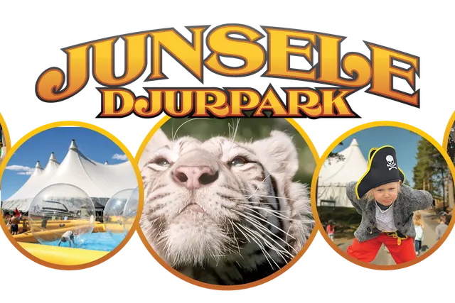 Camping Junsele