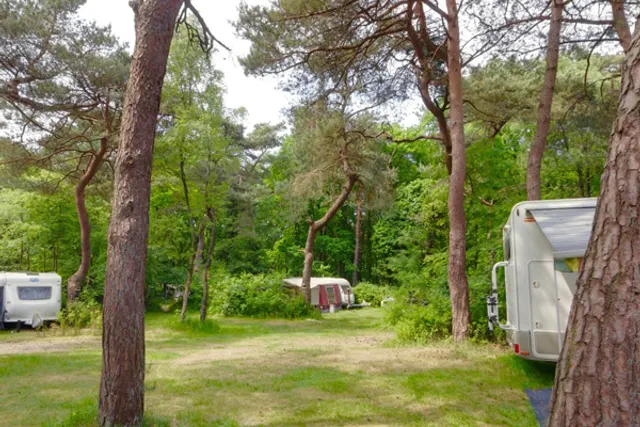 Camping Zonnehoek