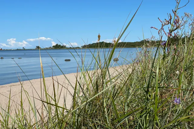 Björkhaga Strandby