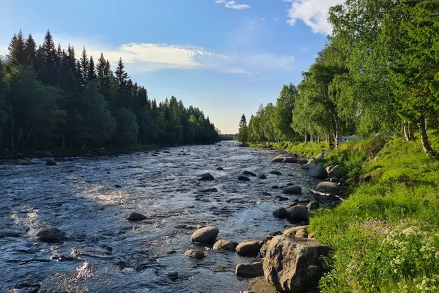 Camp Dammån AB