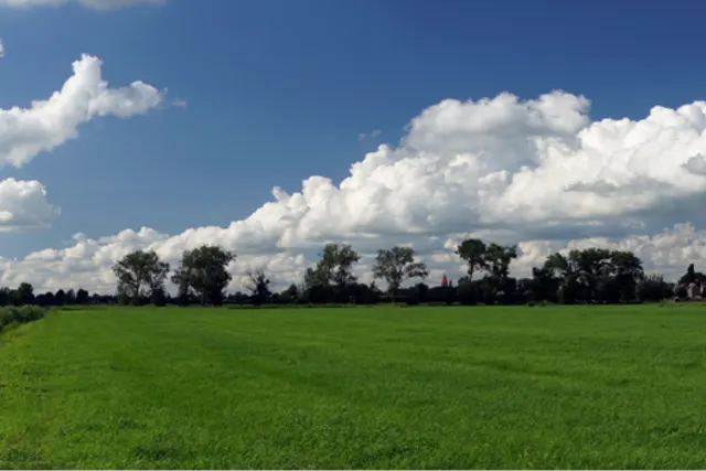 Nieuw Vogelenzang