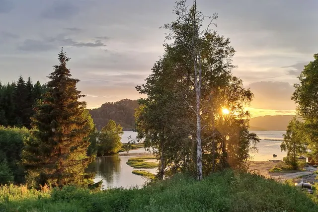 Selnes Camping