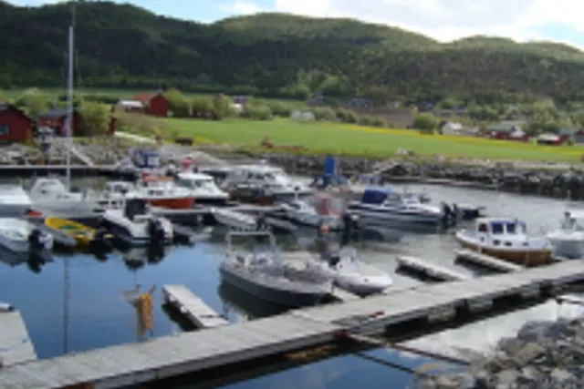 Petterhavna båtforening