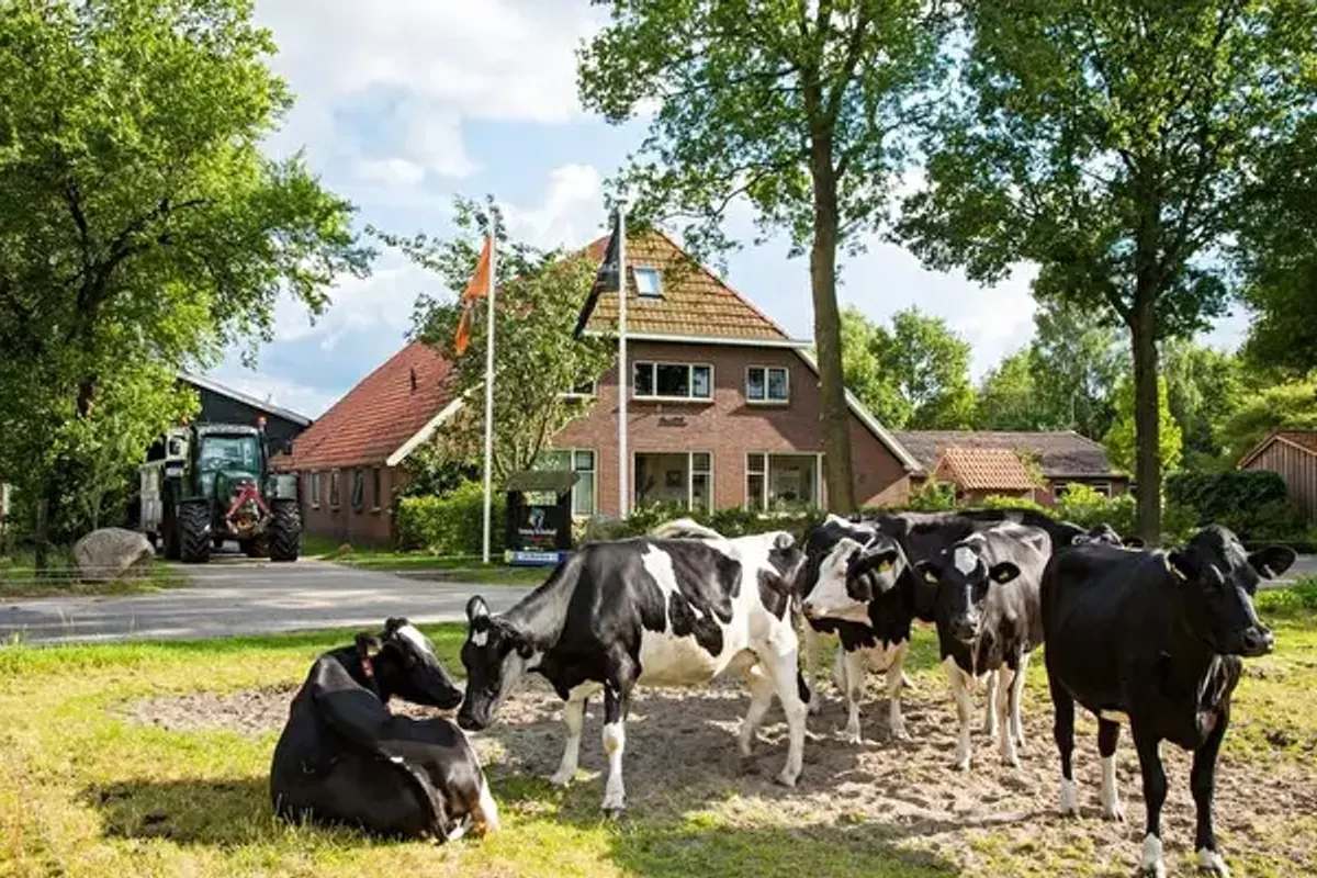 FarmCamps De Bosrand