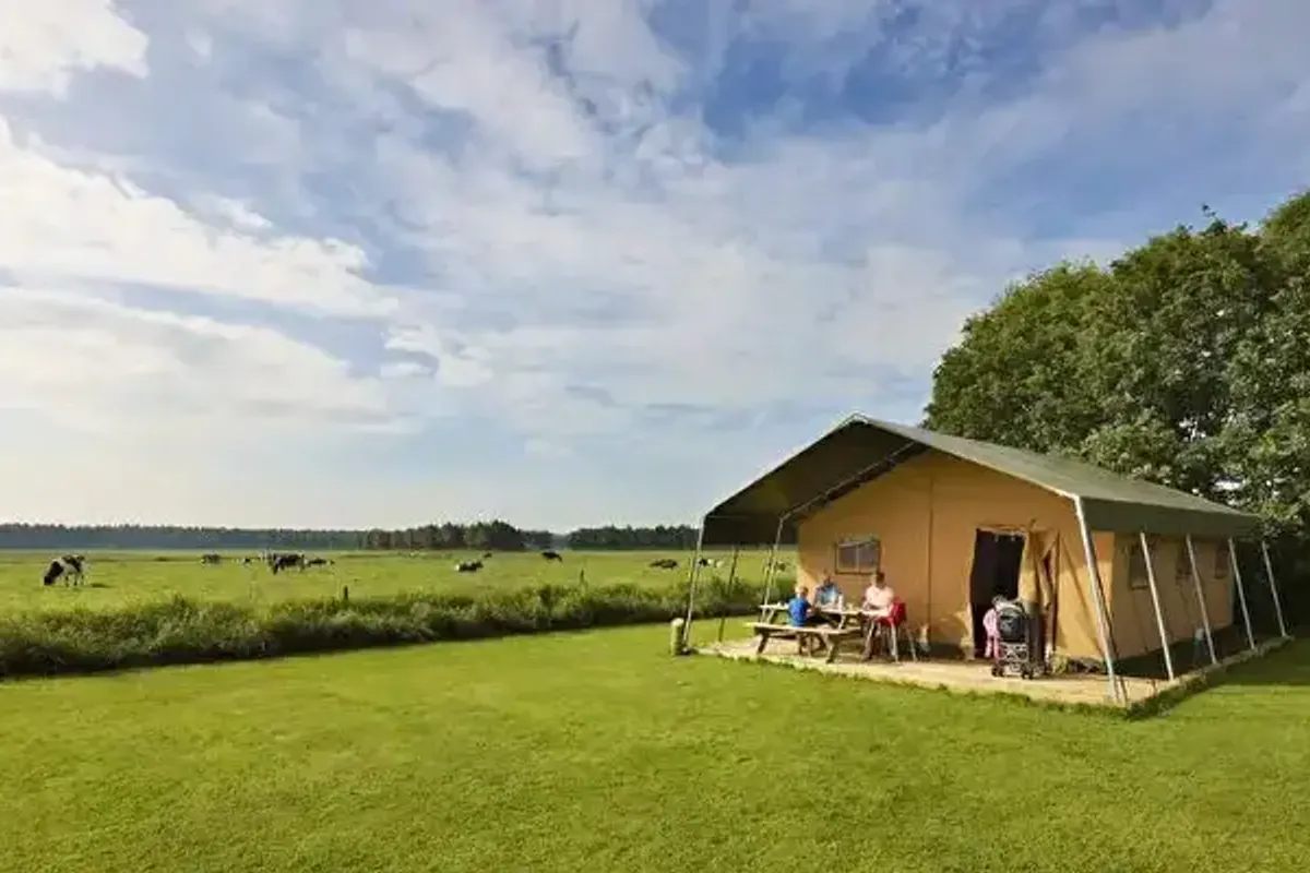 FarmCamps ´t Looveld