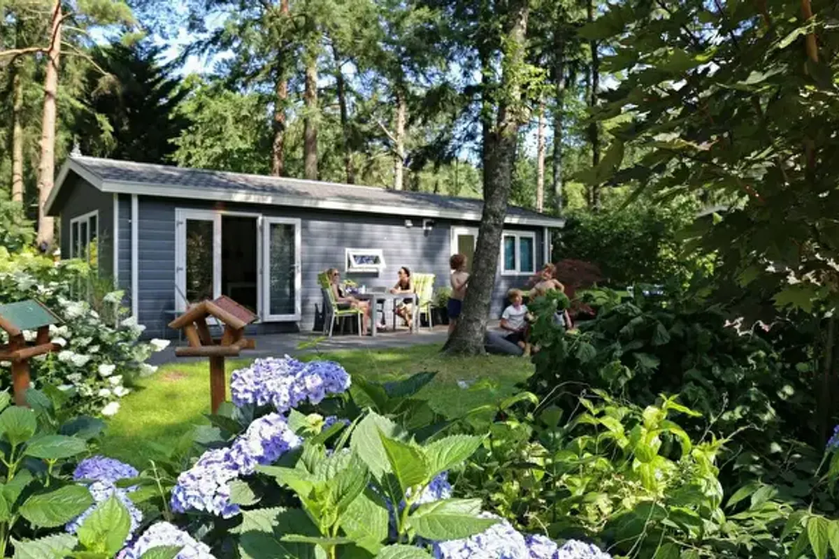 Camping Bonte Vlucht - Succes