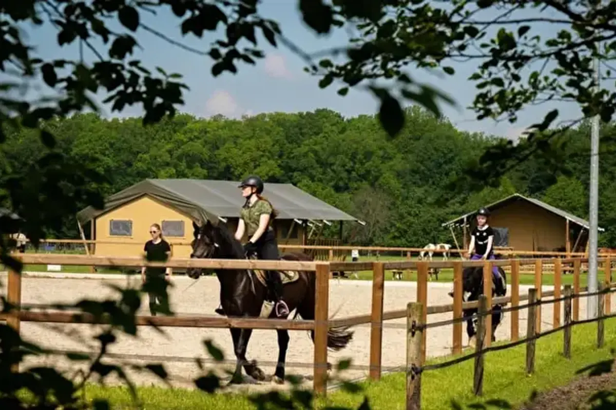 FarmCamps Holzik Stables
