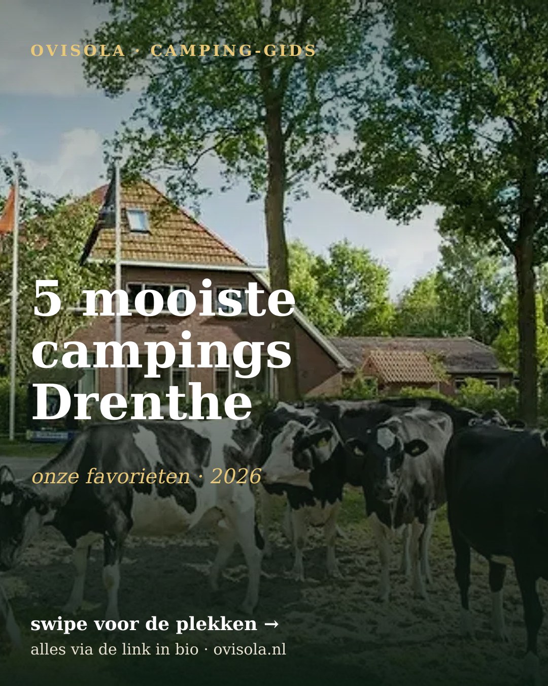 5 mooiste campings Drenthe