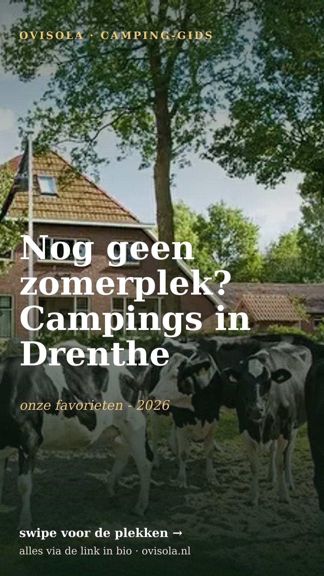 Nog geen zomerplek? Campings in Drenthe 👀