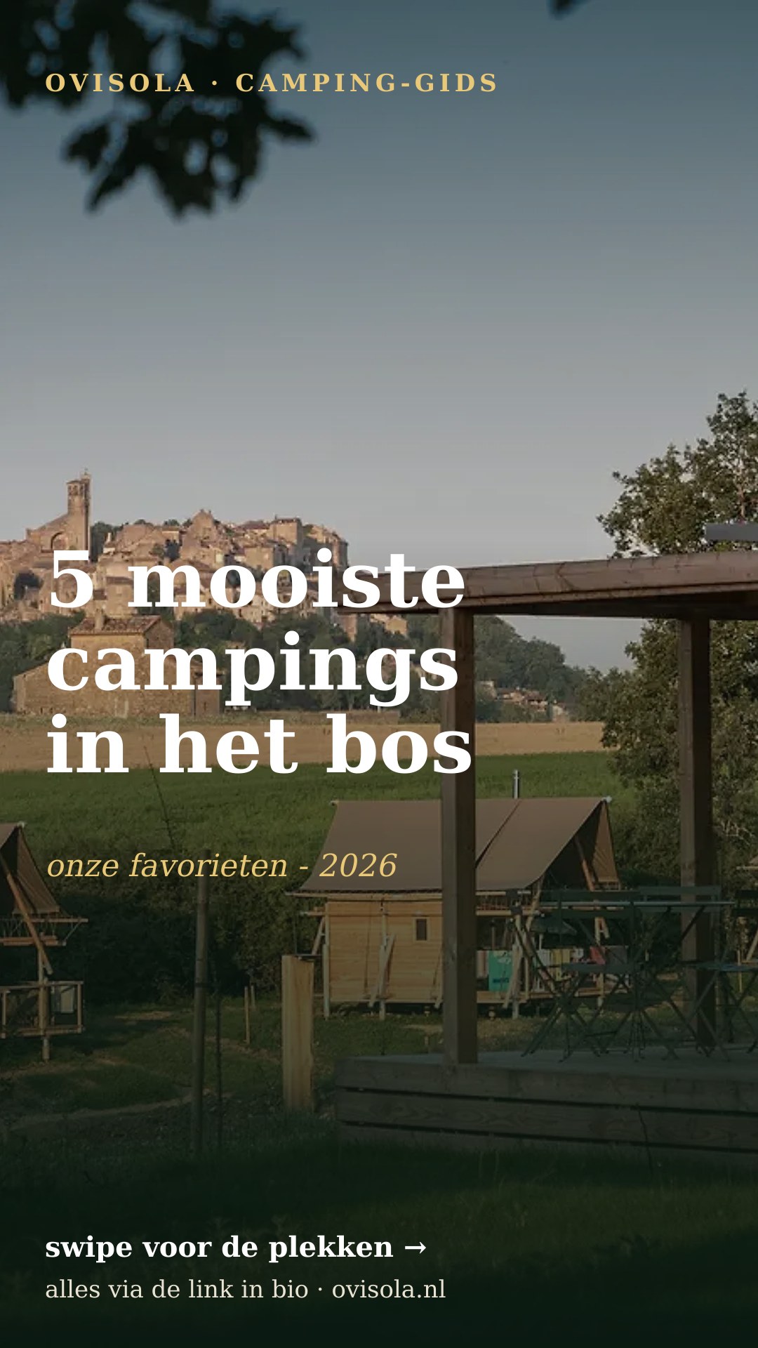 5 mooiste campings in het bos