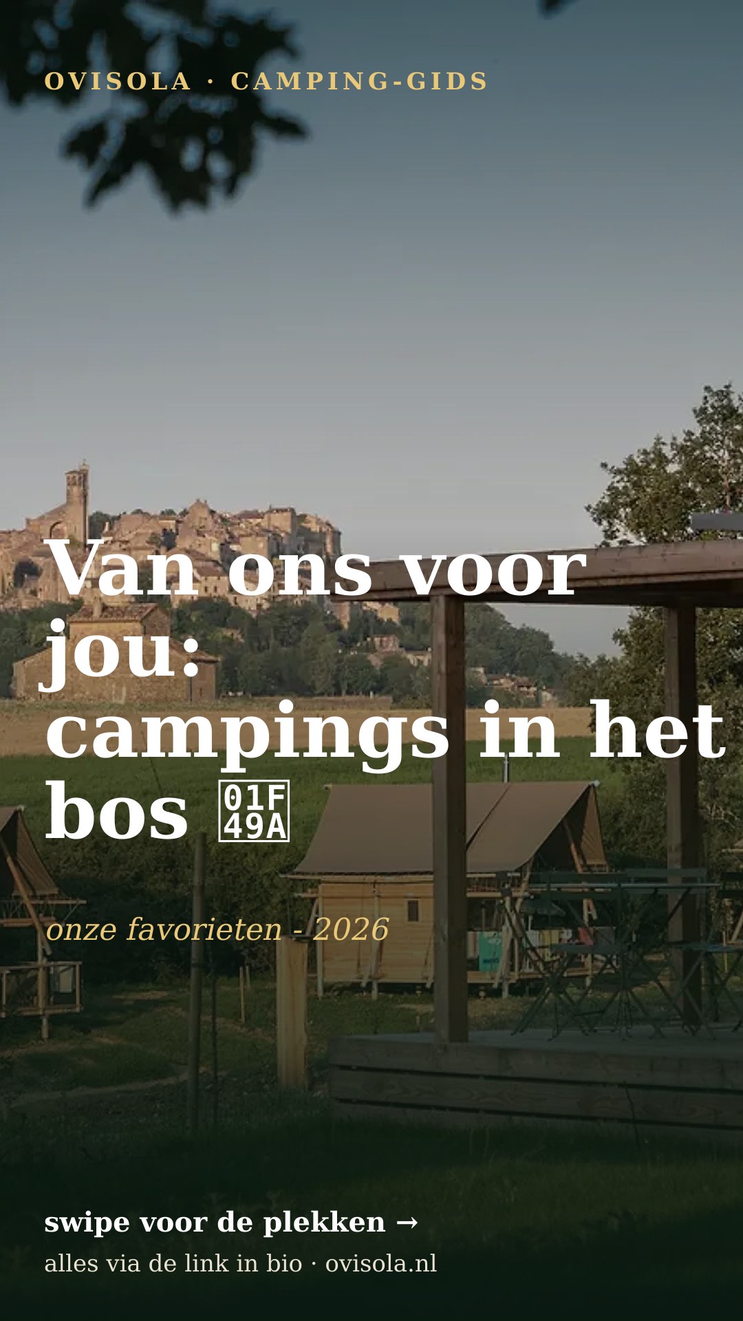 Van ons voor jou: campings in het bos 💚