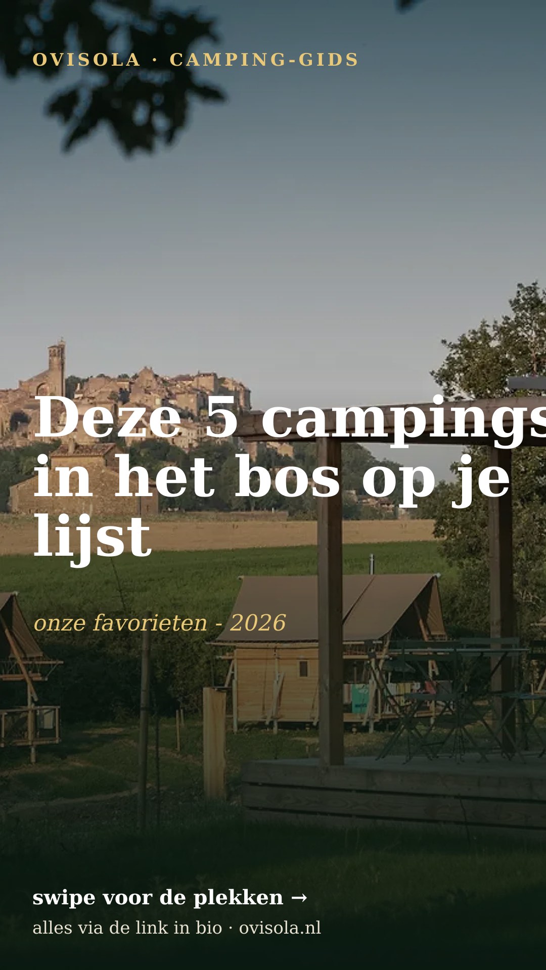 Deze 5 campings in het bos op je lijst
