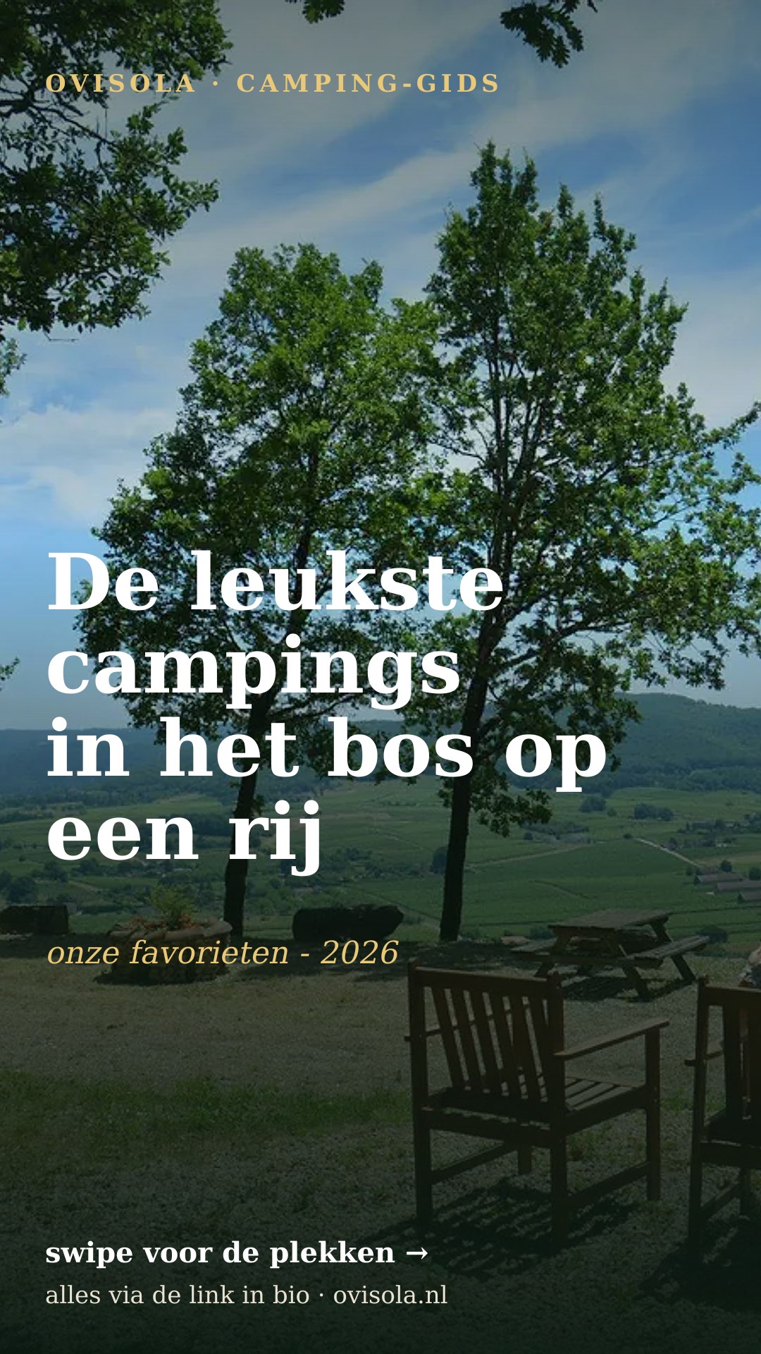 De leukste campings in het bos op een rij